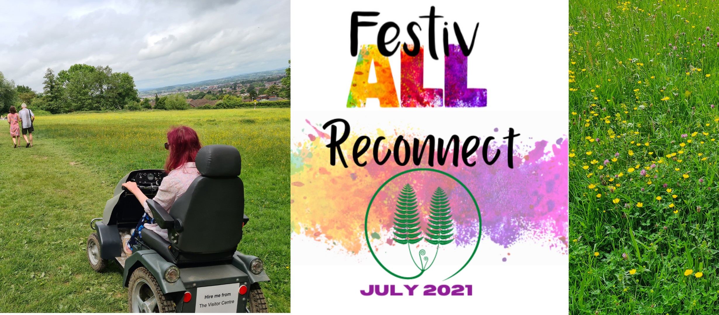Photo for FestivALL 2021 – Reconnecting with Nature